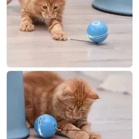 Jeux & Jouets pour Chat | Un Quotidien Épanoui ! 🐾 - Pattes d'Or