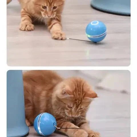 Jeux & Jouets pour Chat | Un Quotidien Épanoui ! 🐾 - Pattes d'Or