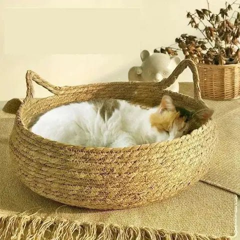 Panier Osier Chat | Confort Naturel et Déco Canon 🌿🌼 - Pattes d'Or