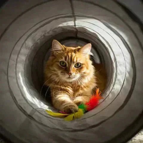 Top 7 Jouets pour Chat Stressé | Calmez Votre Félin 🧶 - Pattes d'Or