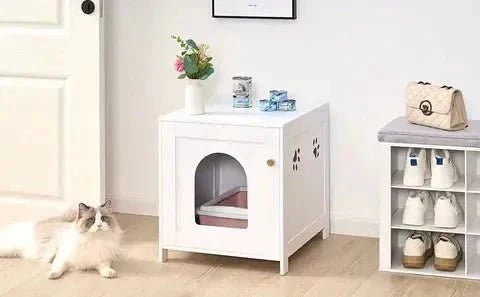 Litière Propre, Chat Heureux | Le Guide Ultime ✨ - Pattes d'Or