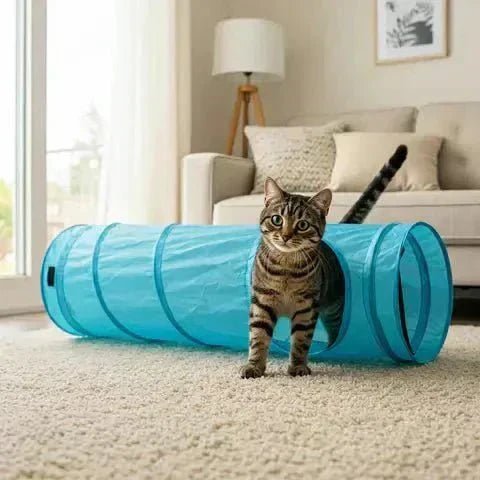 Tunnel pour Chat Pliable | Le Secret du Bonheur de Votre Chat 🐾 - Pattes d'Or