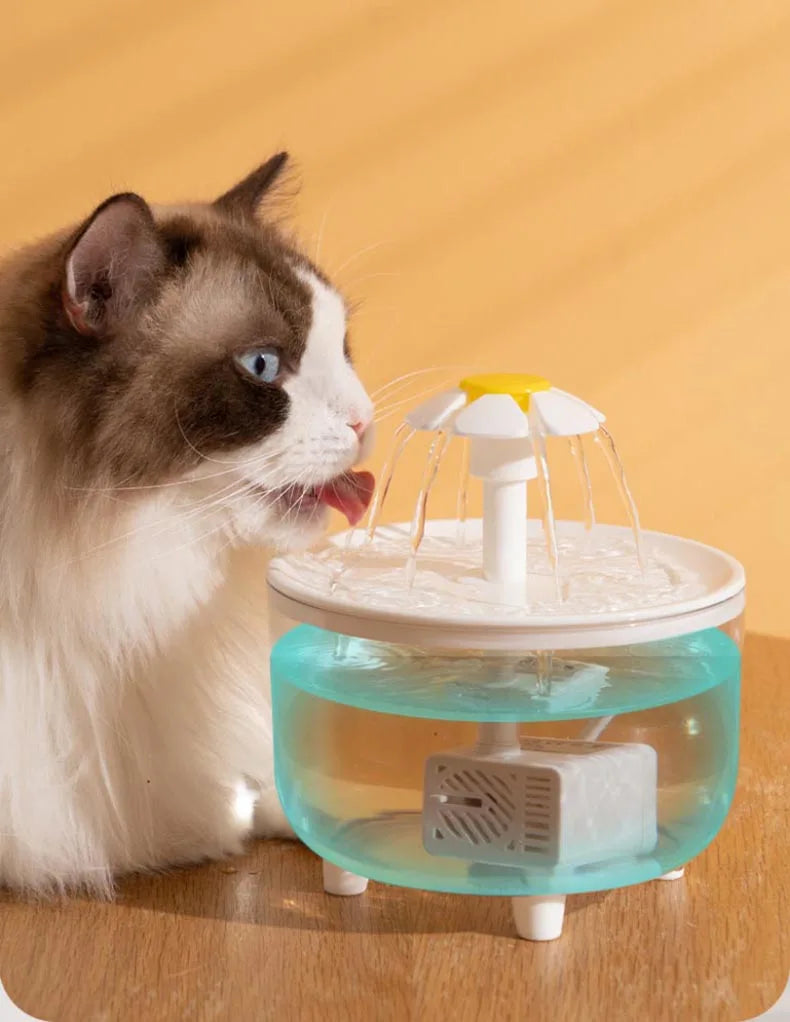 Abreuvoir pour chat design transparent avec circulation d'eau