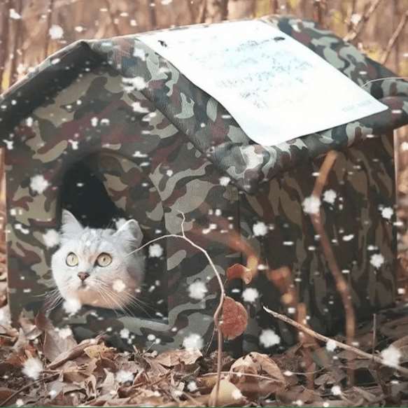 Niche Extérieure Imperméable et Chaude pour Chat : Abri Confortable et Sécurisé - Pattes d'or