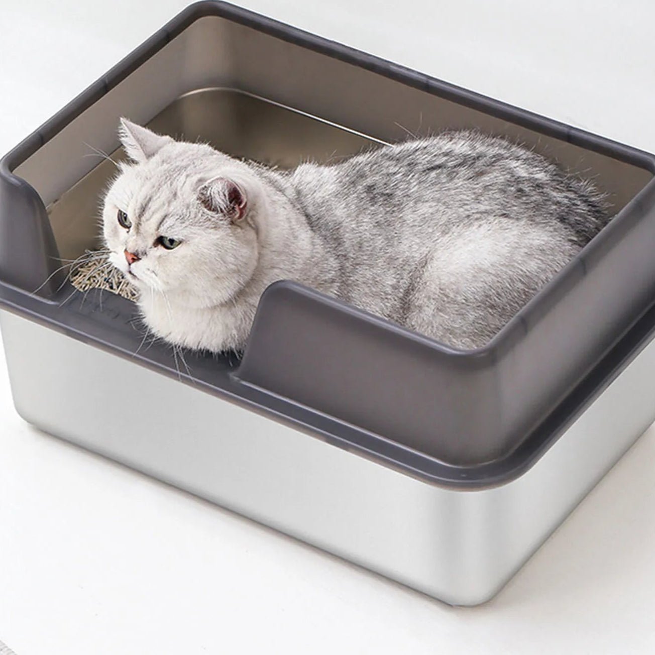 Chat gris dormant dans un bac à litière en acier inoxydable.