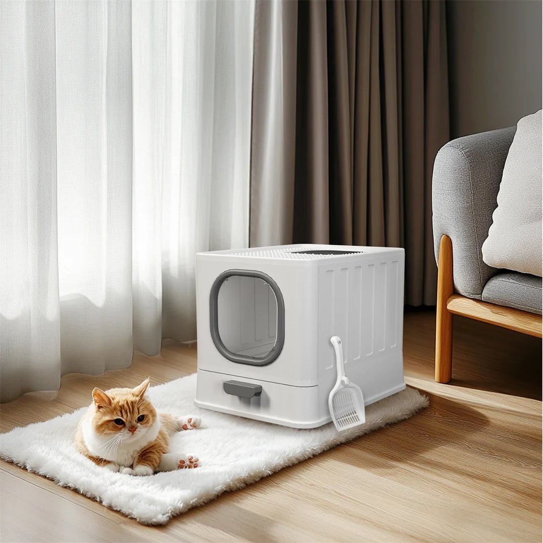Chaton utilisant boîte à litière design avec tiroir coulissant