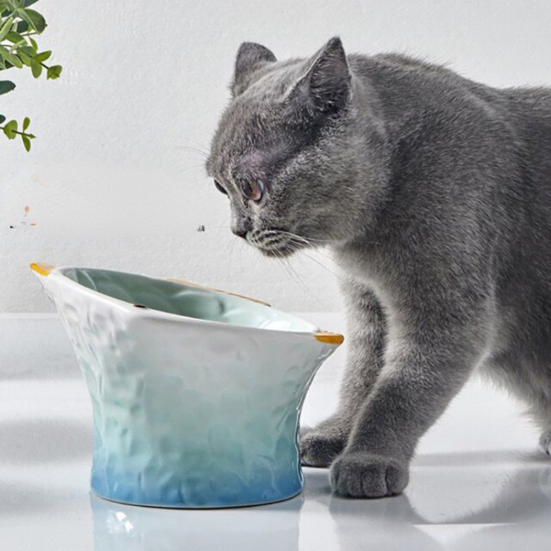Bol en céramique pour chat, couleurs rose et bleu, favorisant une alimentation saine et une digestion optimale.