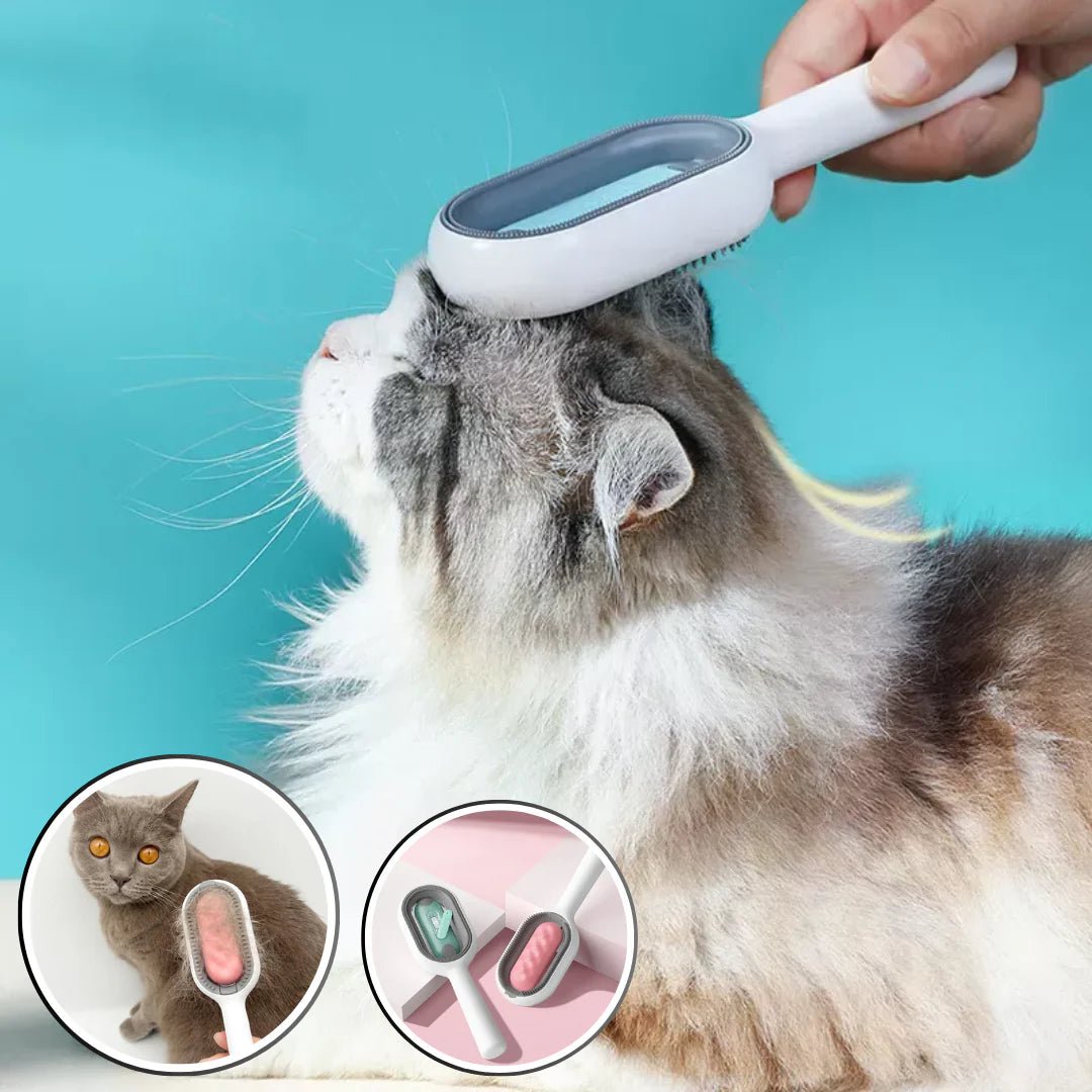 brosse démêlante et massante pour chat, idéale pour poils courts et longs.