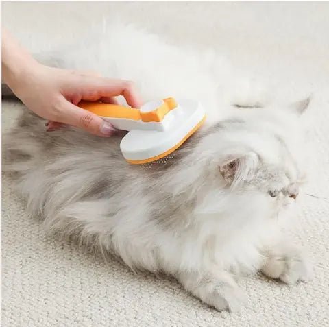 Chat blanc aux longs poils appréciant une séance de massage avec une brosse auto-nettoyante, moment de détente et complicité