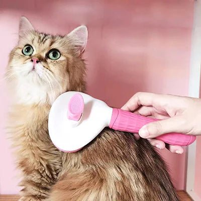 Chat brossé avec la brosse auto-nettoyante, montrant le retrait des poils.