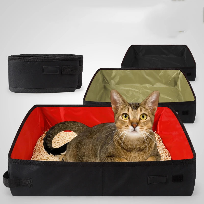 Chat confortablement installé dans une litière pliable noire de voyage