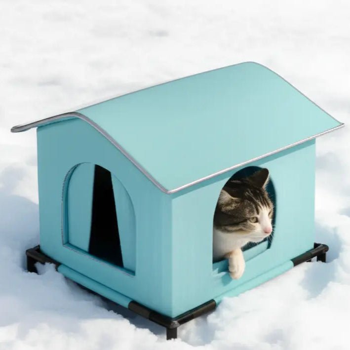 Un chat tigré est blotti à l'intérieur de la niche sous une fine couche de neige, cherchant un abri chaleureux.
