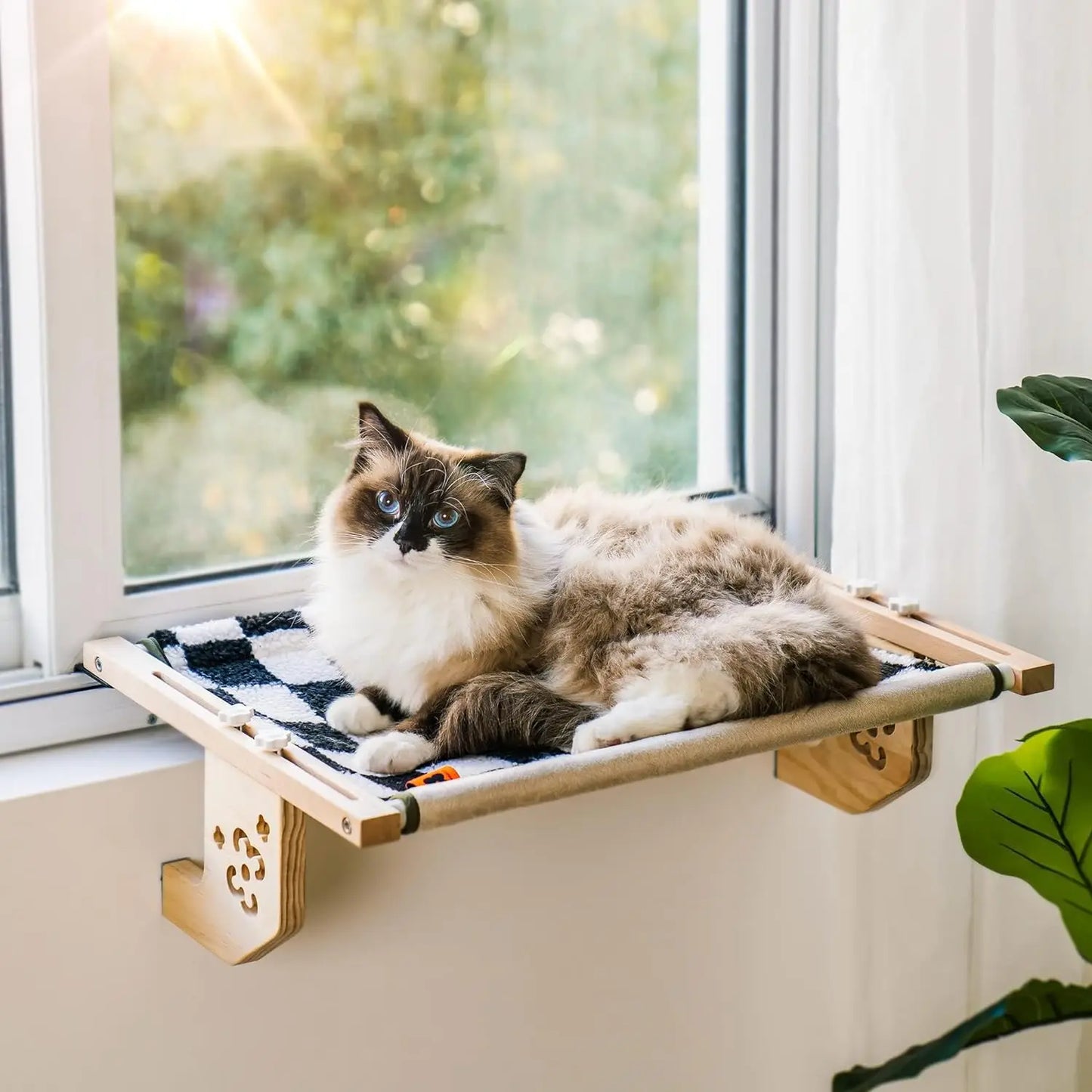 Chat profitant de la vue panoramique depuis un hamac de fenêtre