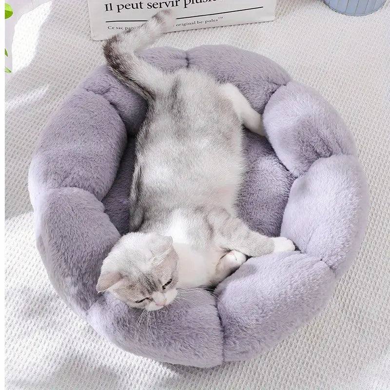 Chat heureux et détendu dans un lit fleur douillet en peluche grise