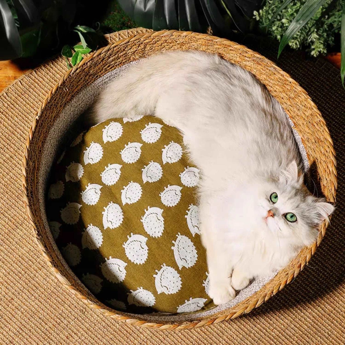 Chat heureux se relaxant dans son nouveau panier en rotin