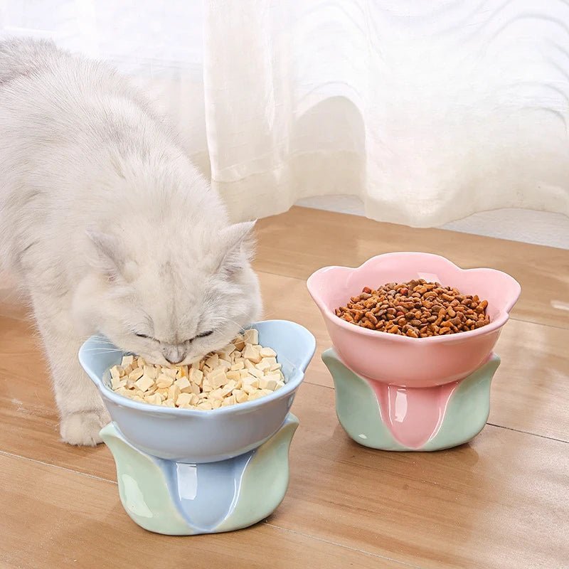 Chat mangeant dans une gamelle en céramique motif floral