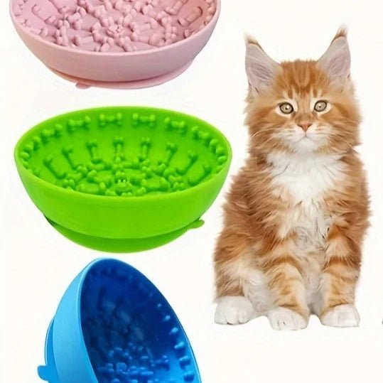 Chat mangeant lentement dans sa gamelle anti-glouton en silicone