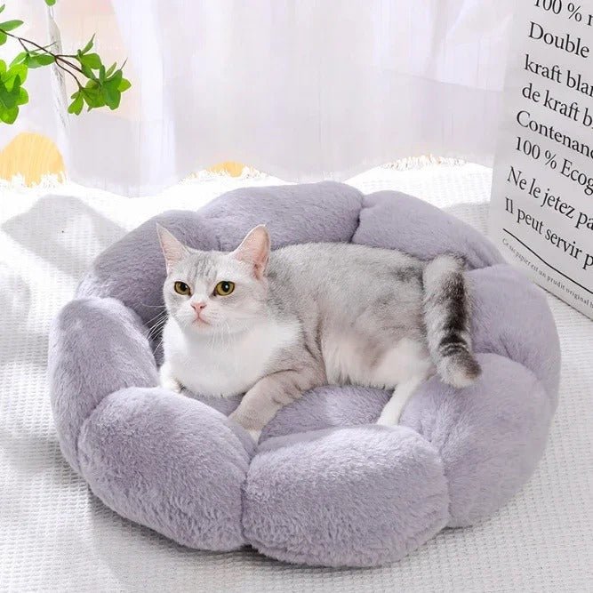 Chat gris reposant sur un coussin en forme de fleur en peluche