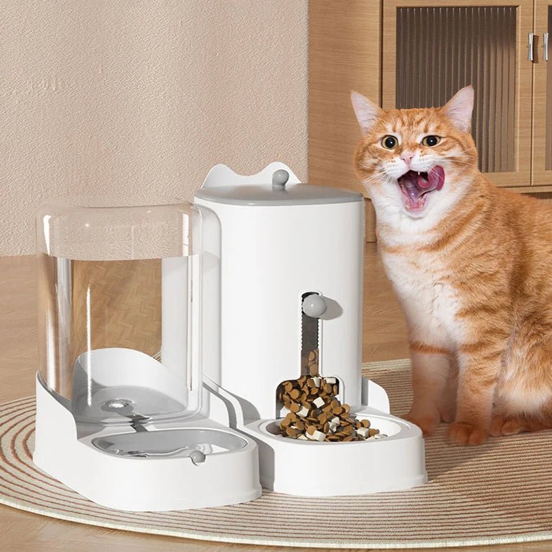 Chat roux utilisant le distributeur automatique de croquettes et d'eau