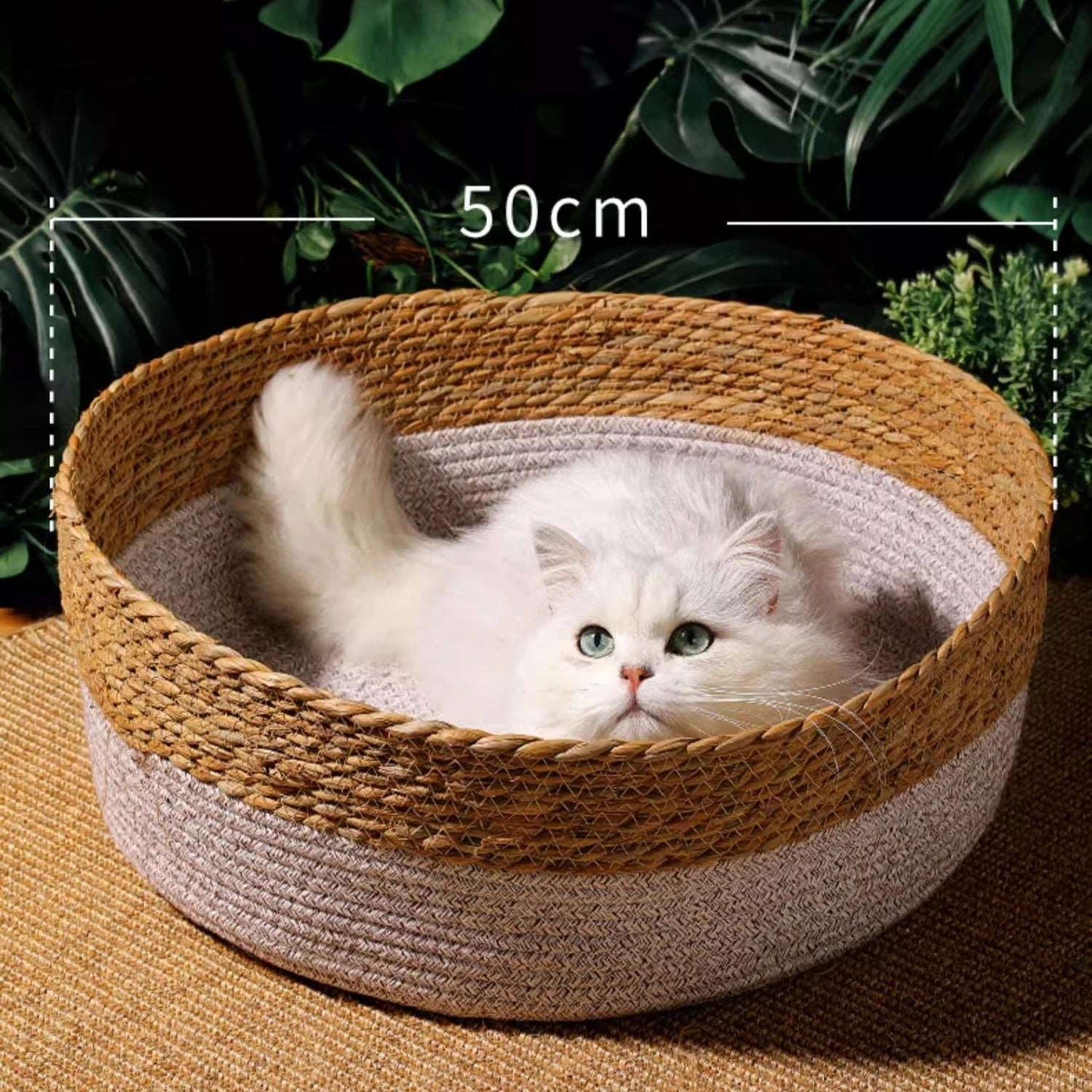 Chat blanc relaxant dans un panier en rotin tissé à la main