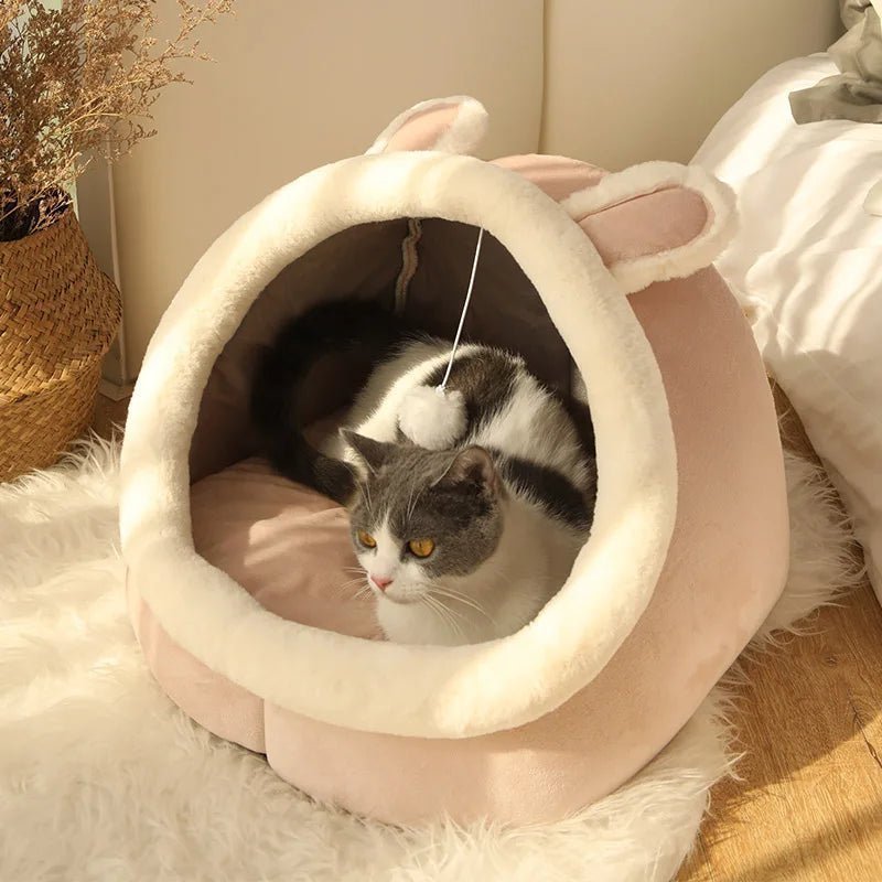 Chaton confortable dans une niche douillette rose avec pompon