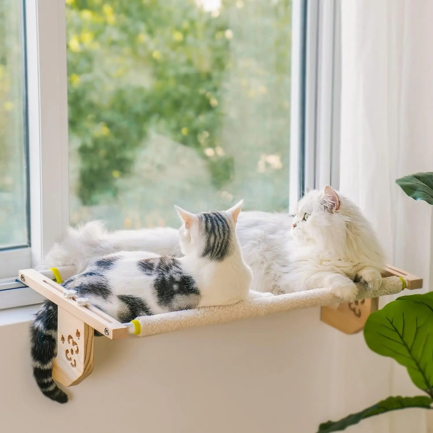 Deux Chats profitant de la vue panoramique depuis un hamac de fenêtre