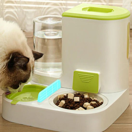 Distributeur automatique 2-en-1 pour chat avec eau claire et croquettes fraîches