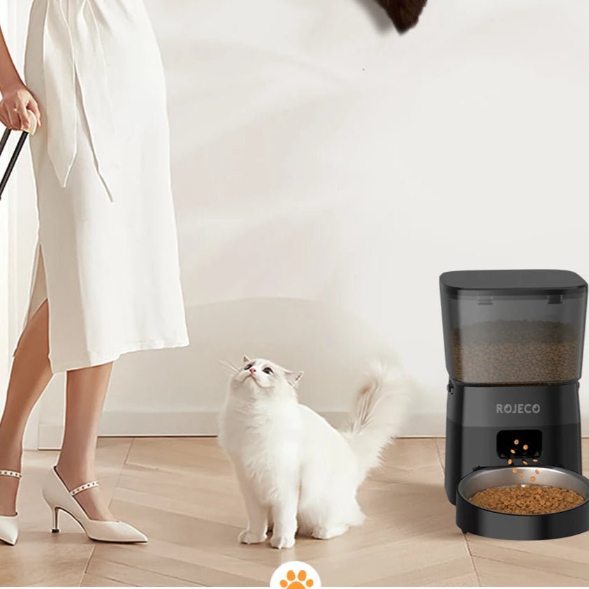 Distributeur de croquettes automatique pour chat avec portions réglables