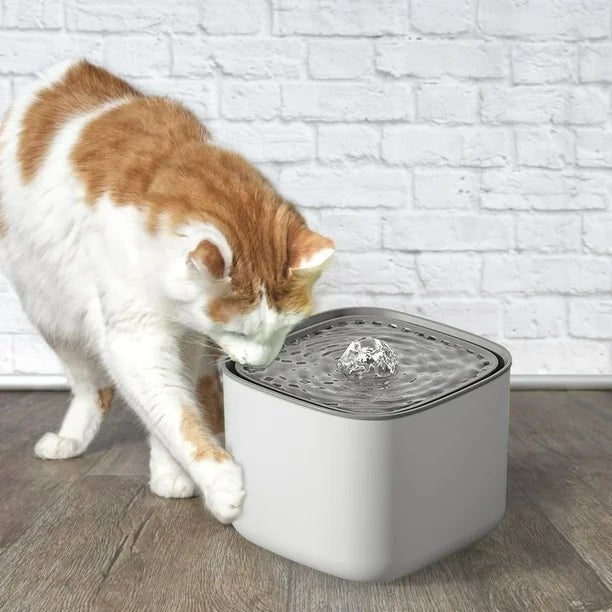 Distributeur automatique d'eau pour chat avec design moderne et filtration avancée