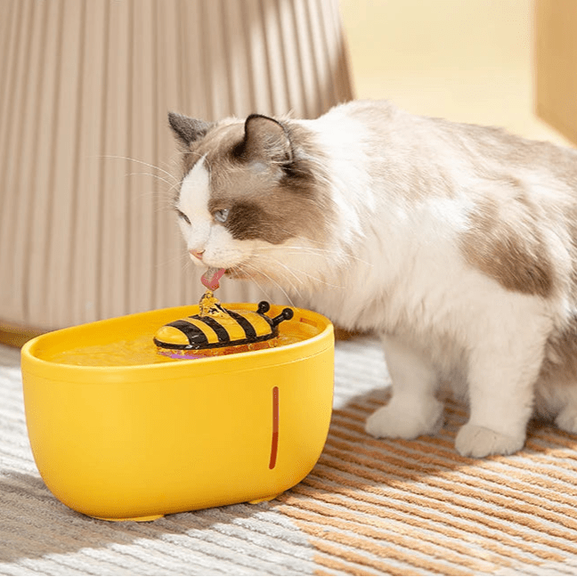 Distributeur eau chat fontaine automatique abeille - chat buvant