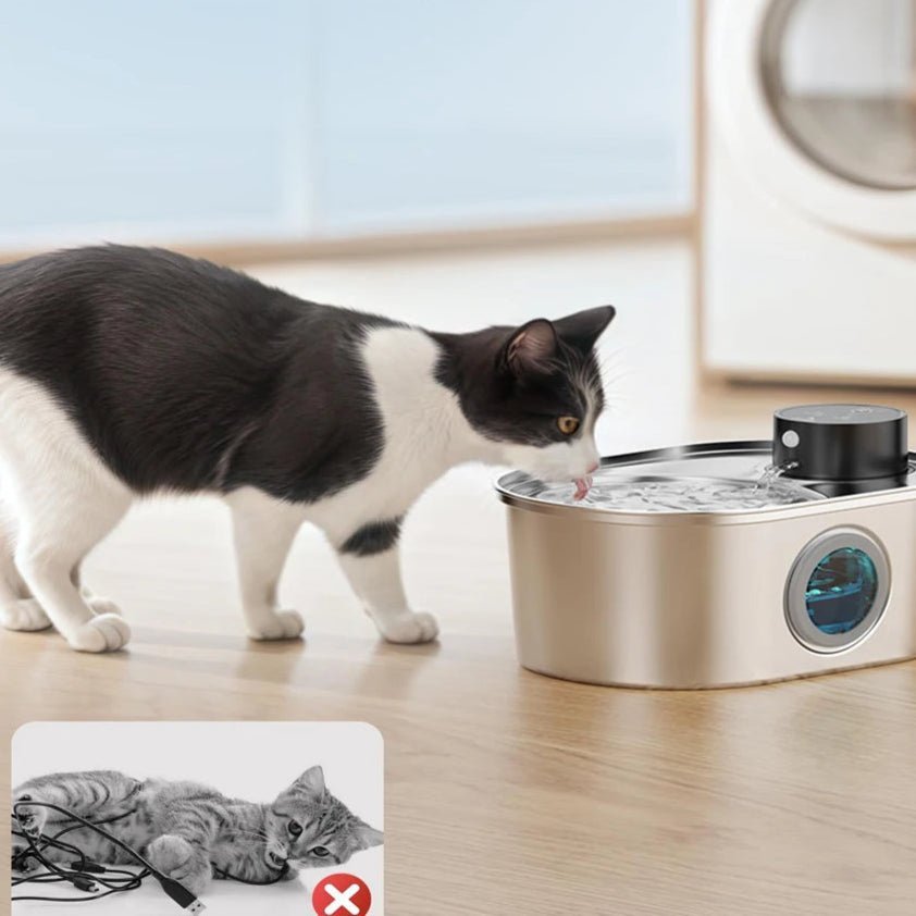 Distributeur d’eau intelligent pour chat, sans fil, avec filtration avancée et fonctionnement silencieux.