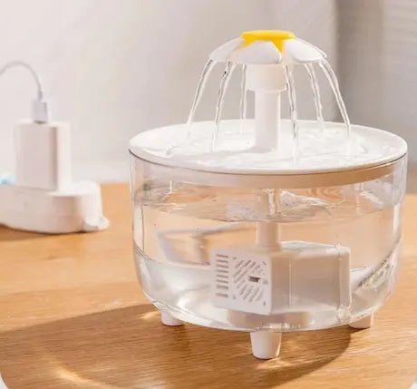 Fontaine chat circulaire silencieuse - filtration intégrée eau pure