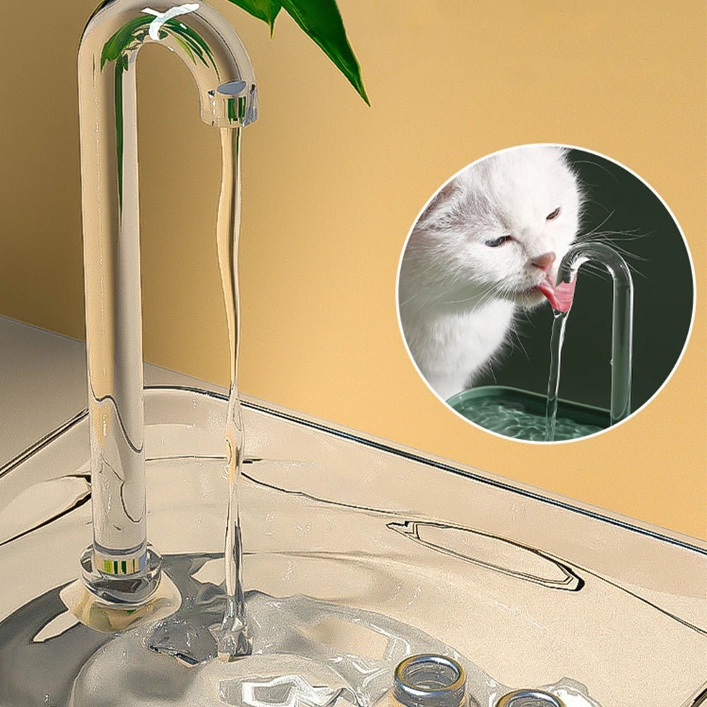Fontaine à eau transparente pour chat, silencieuse et facile à nettoyer