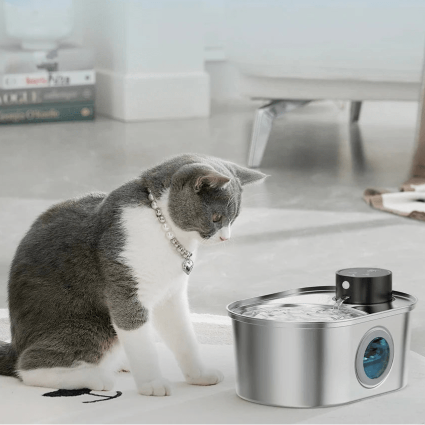 Fontaine à eau intelligente sans fil pour chats, avec détecteur de mouvement et filtration avancée.