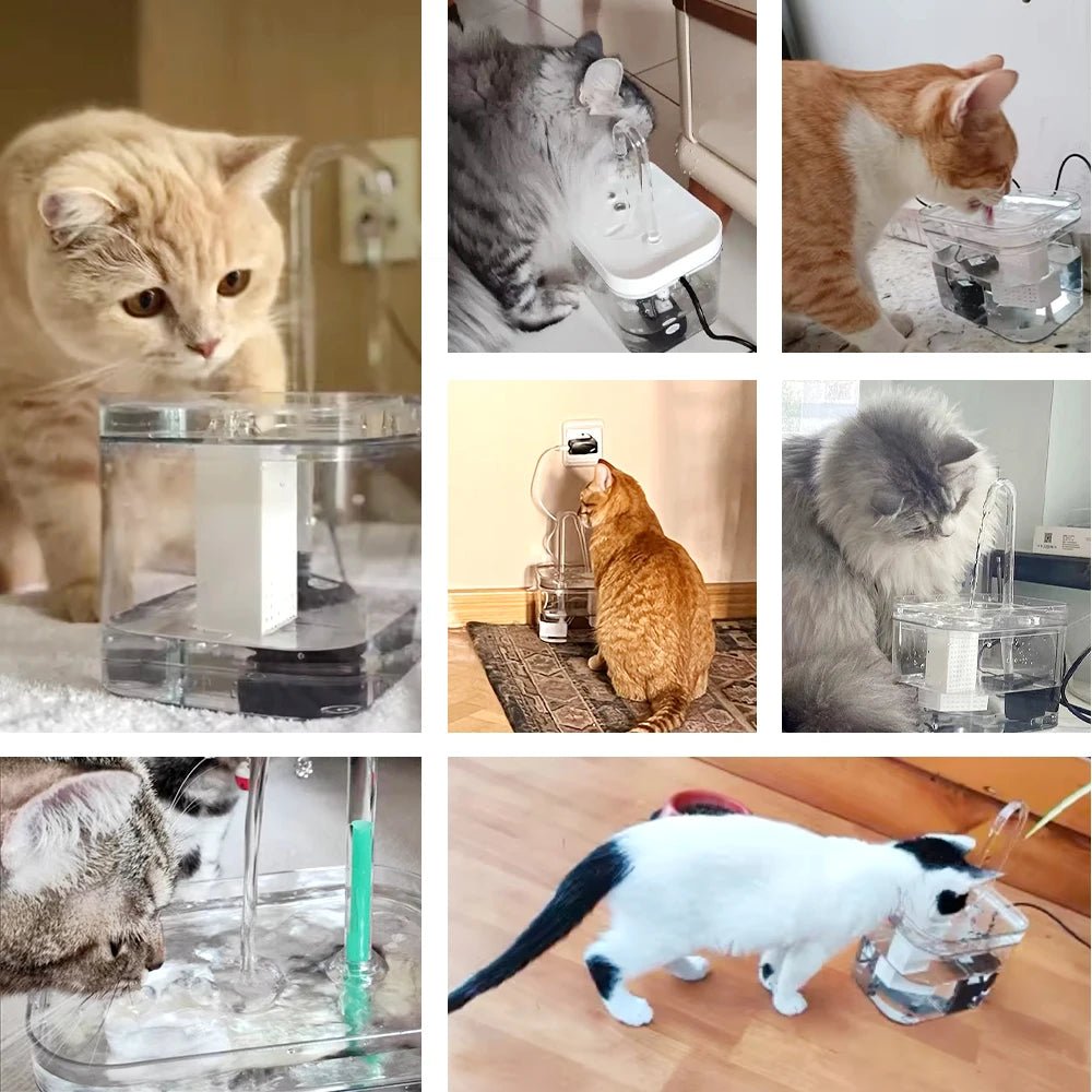 Fontaine à eau 1.5L pour chat, design ergonomique et hygiénique