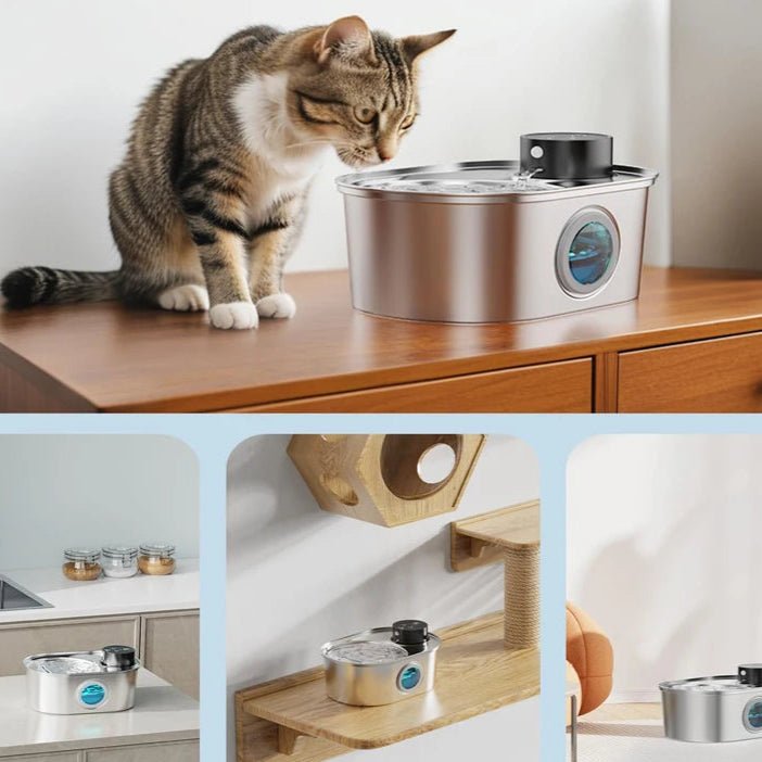 Fontaine à eau sans fil intelligente pour chats, design en acier inoxydable, avec détecteur de mouvement.