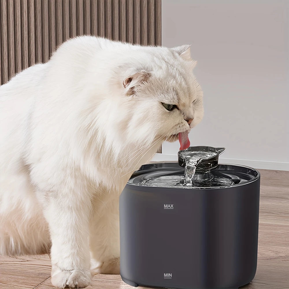 Un chat blanc boit de l'eau d'une fontaine automatique