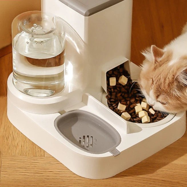 Gamelle automatique pour chat avec réservoir d’eau et compartiment croquettes