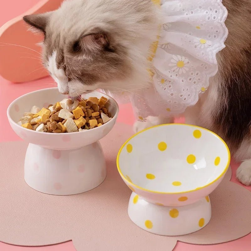 Gamelle pour chat en céramique inclinée, idéale pour une meilleure digestion et un confort optimal pendant les repas.