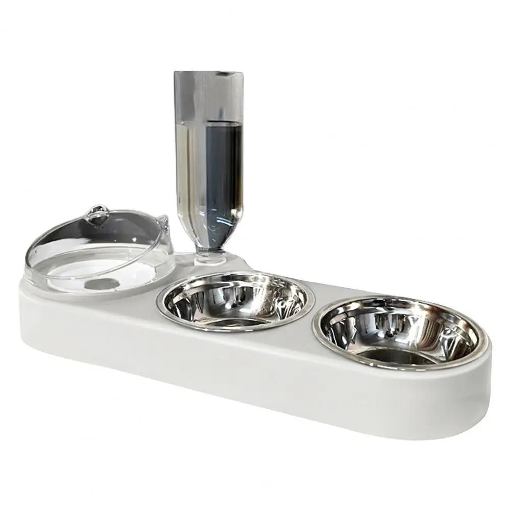Gamelle automatique pour chat – eau fraîche et nourriture propre