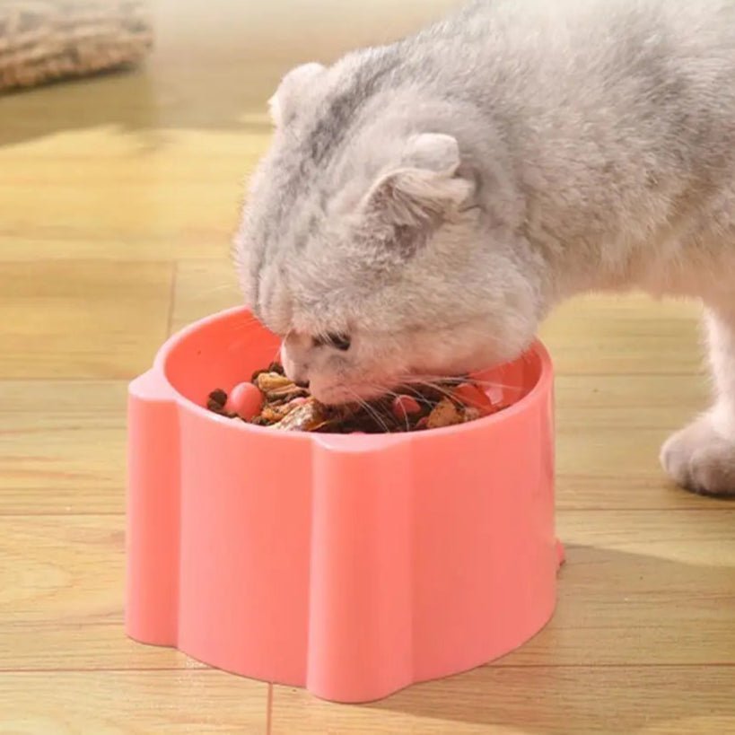Gamelle surélevée anti-glouton en PP sans BPA pour chat et chiot