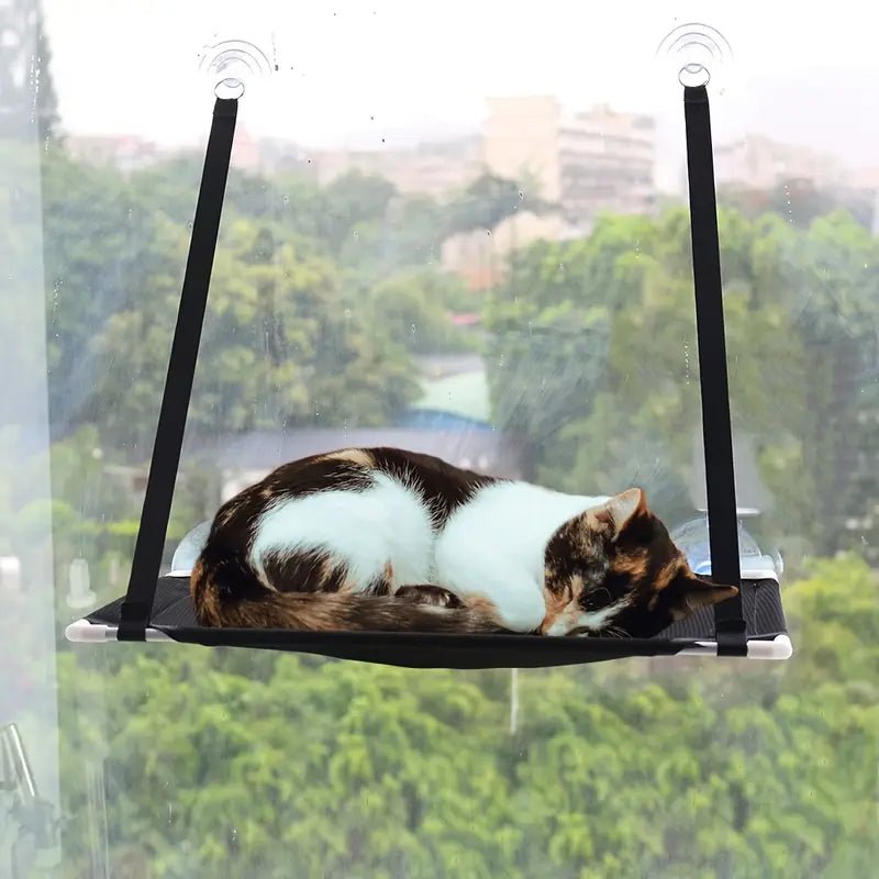 Solution parfaite pour offrir à votre chat un espace de détente et de stimulation.