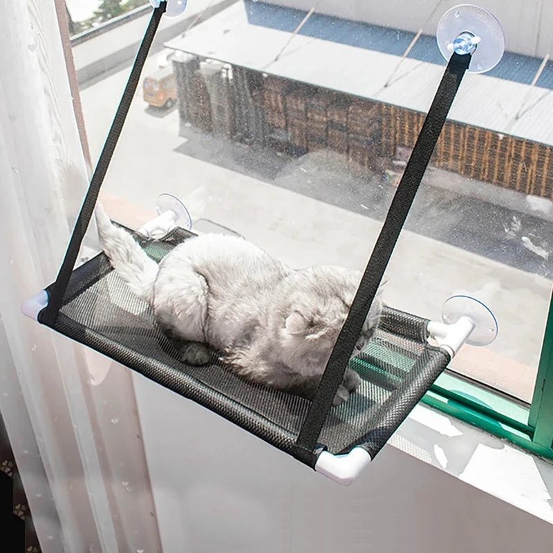 Chat heureux se relaxant dans un hamac suspendu près de la fenêtre.