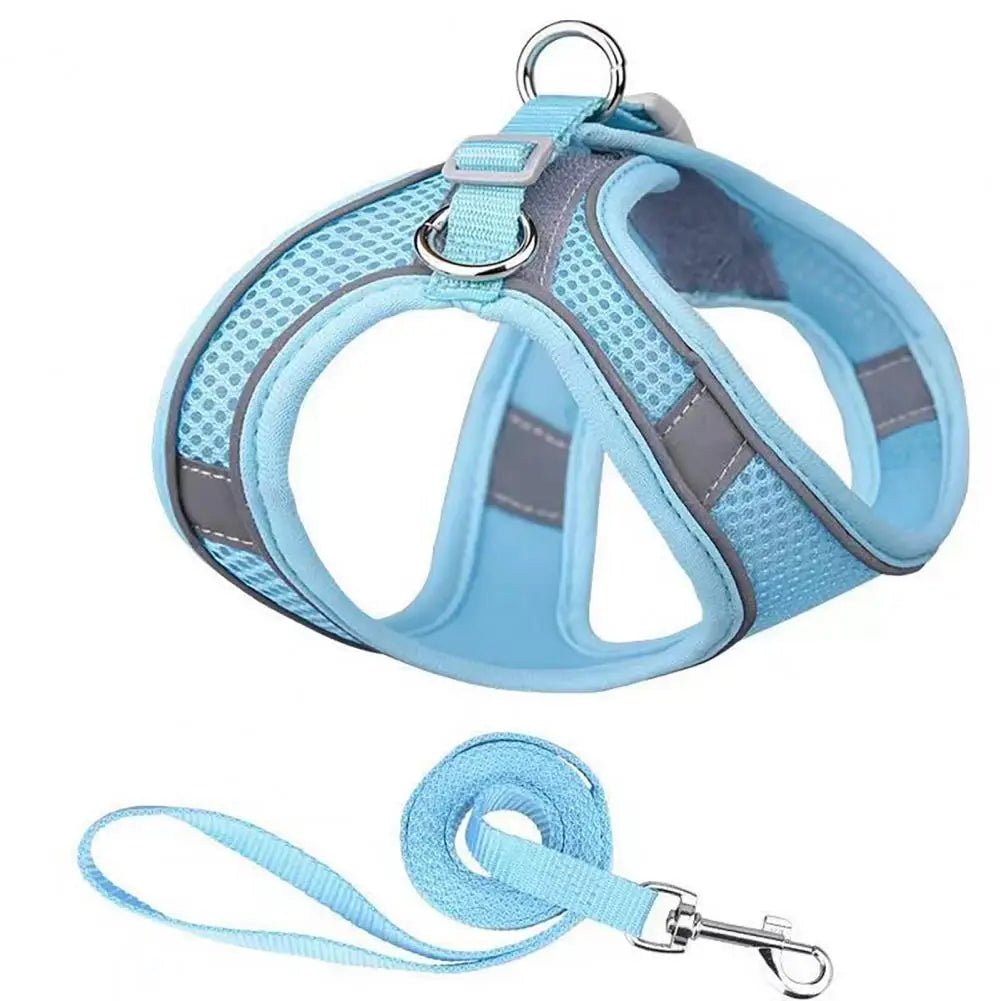 Superbe harnais anti-évasion et respirant de couleur bleu ciel pour chat, présenté avec sa laisse assortie. On voit bien le design confortable et les bandes réfléchissantes.