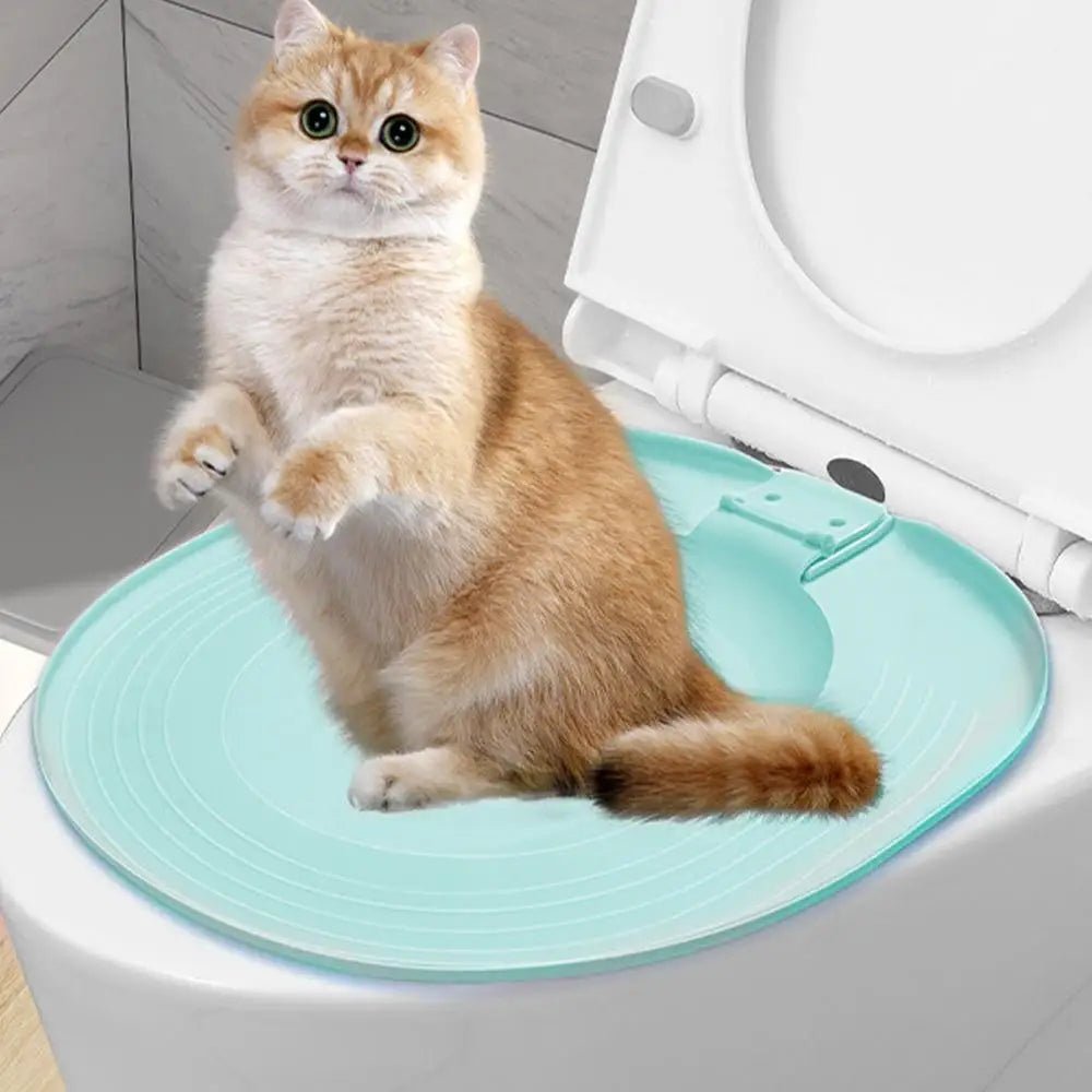 Accessoire écologique pour apprentissage de la propreté des chats, adapté aux toilettes standard.
