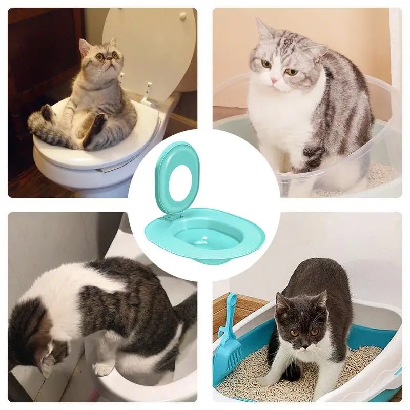 Chat utilisant un kit d'apprentissage de la propreté sur des toilettes, solution hygiénique et économique.