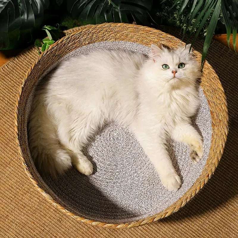 Lit douillet pour chat en rotin naturel, idéal pour le repos