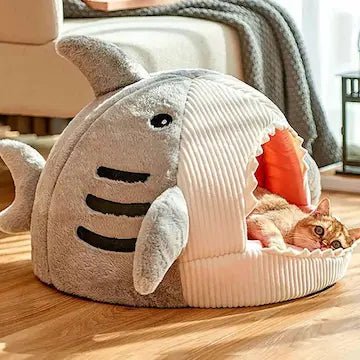 Niche Requin Chat | Douillette, Chaleureuse & Originale - Pattes d'Or