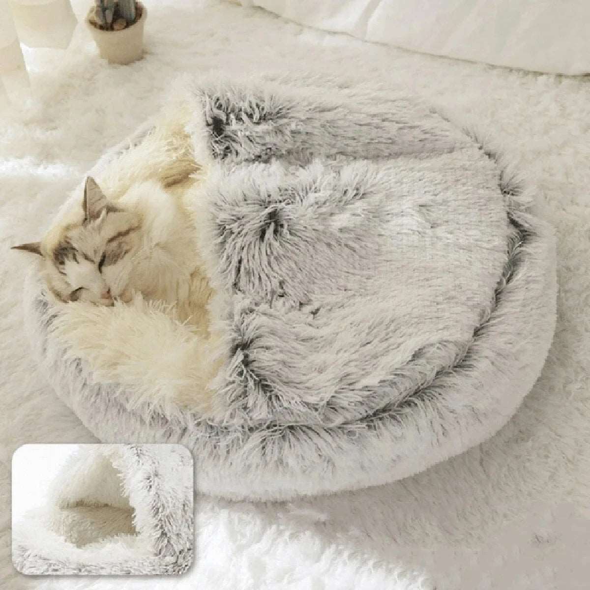 Chat dormant dans un lit confortable en peluche beige