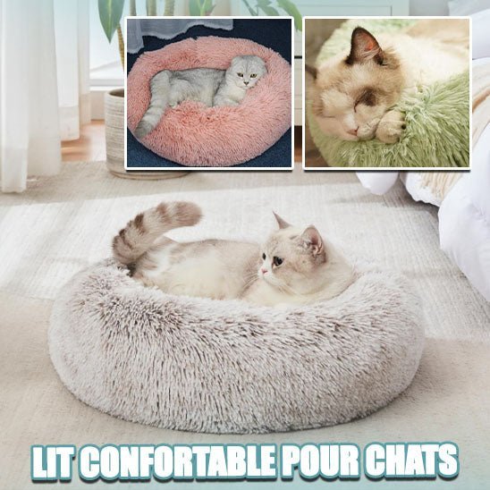 Lit donut beige pour chat : confort et douceur garantis.